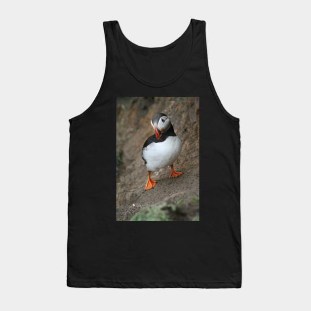 Quizzical Puffin Tank Top by orcadia